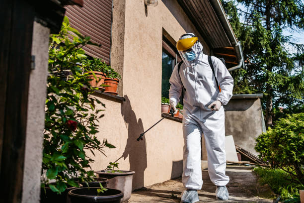 Best Ant Control Services  in Scarsdale, NY