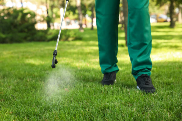 Best Termite Control Services  in Scarsdale, NY