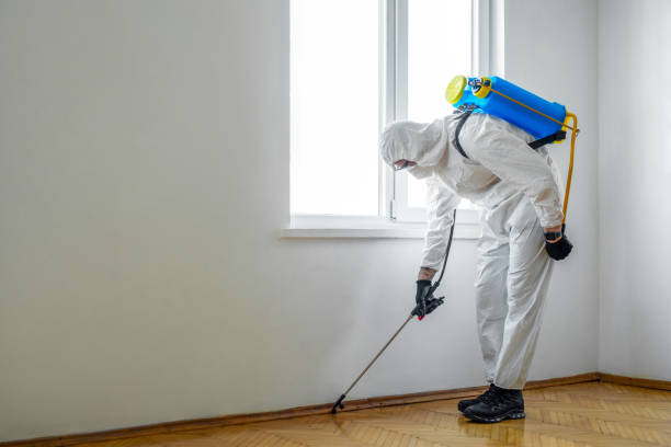 Best Termite Control Services  in Scarsdale, NY
