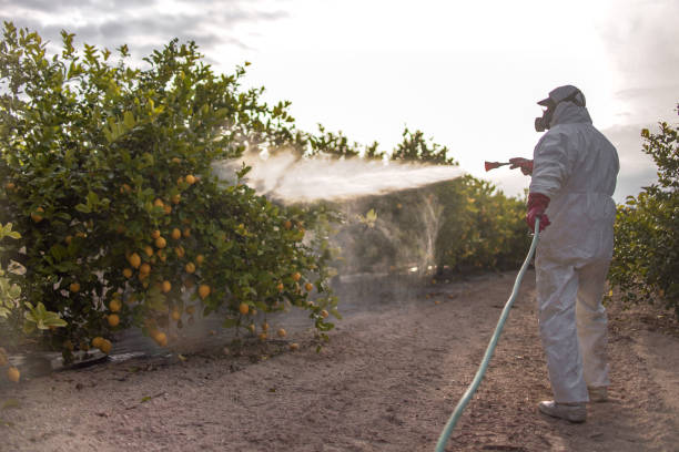Scarsdale, NY Pest Control Company