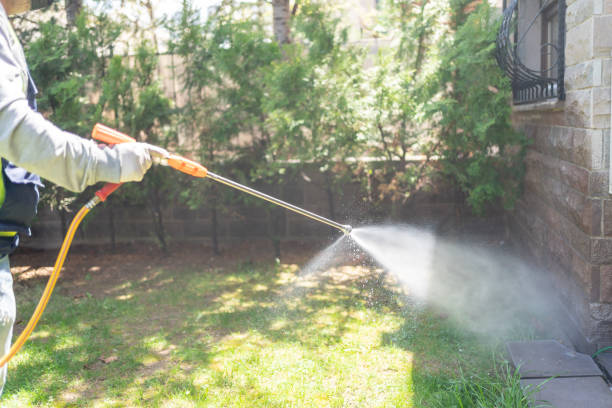 Best Rat Extermination Near Me  in Scarsdale, NY