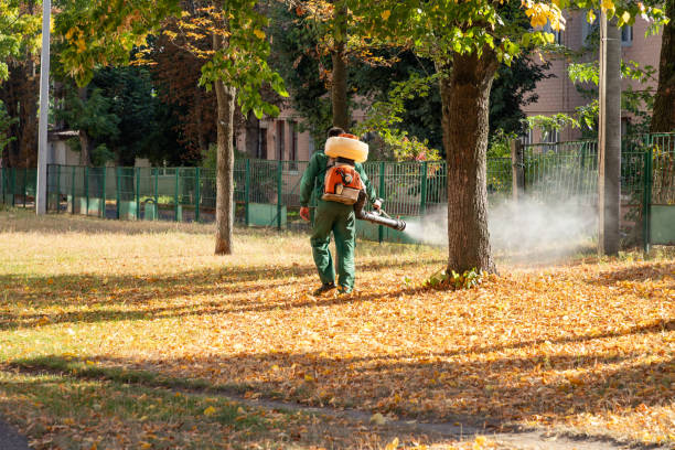 Best Pest Prevention Services  in Scarsdale, NY