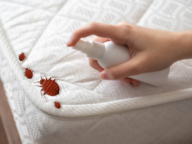 Best Wasp Removal Services  in Scarsdale, NY