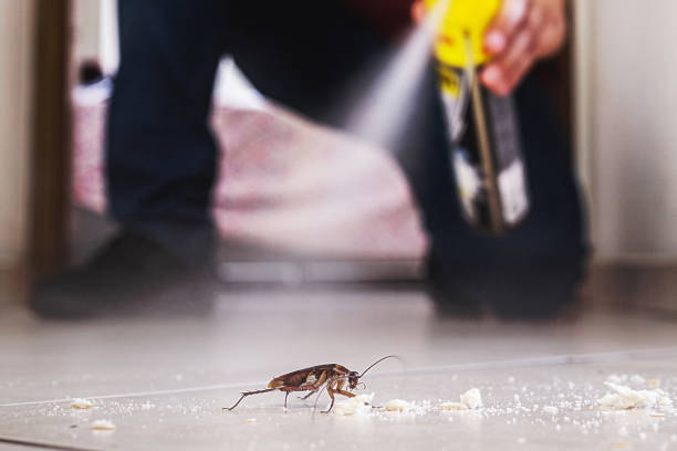 Best Exterminator Services  in Scarsdale, NY