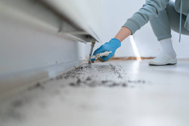 Best Affordable Pest Control Services  in Scarsdale, NY